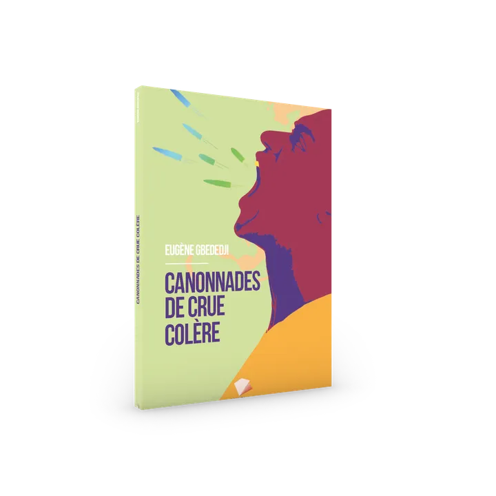 Couverture de Canonnades de crue colère 