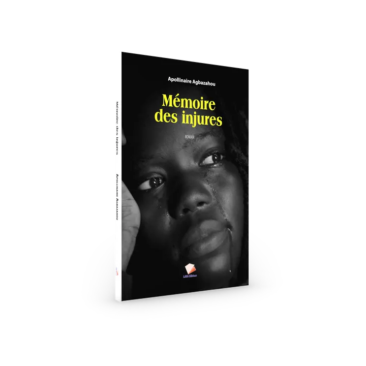 Couverture de Mémoire des injures